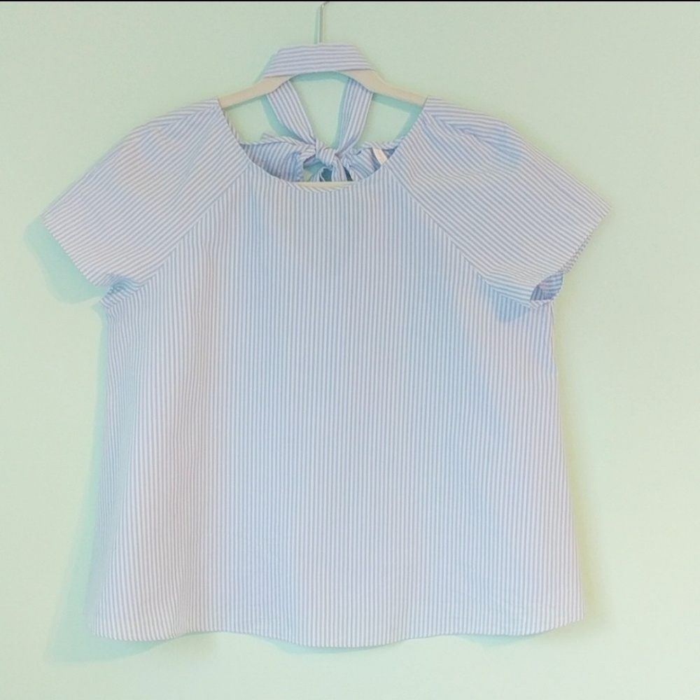 Zara Trafaluc Blue Pinstripe Top (Med)